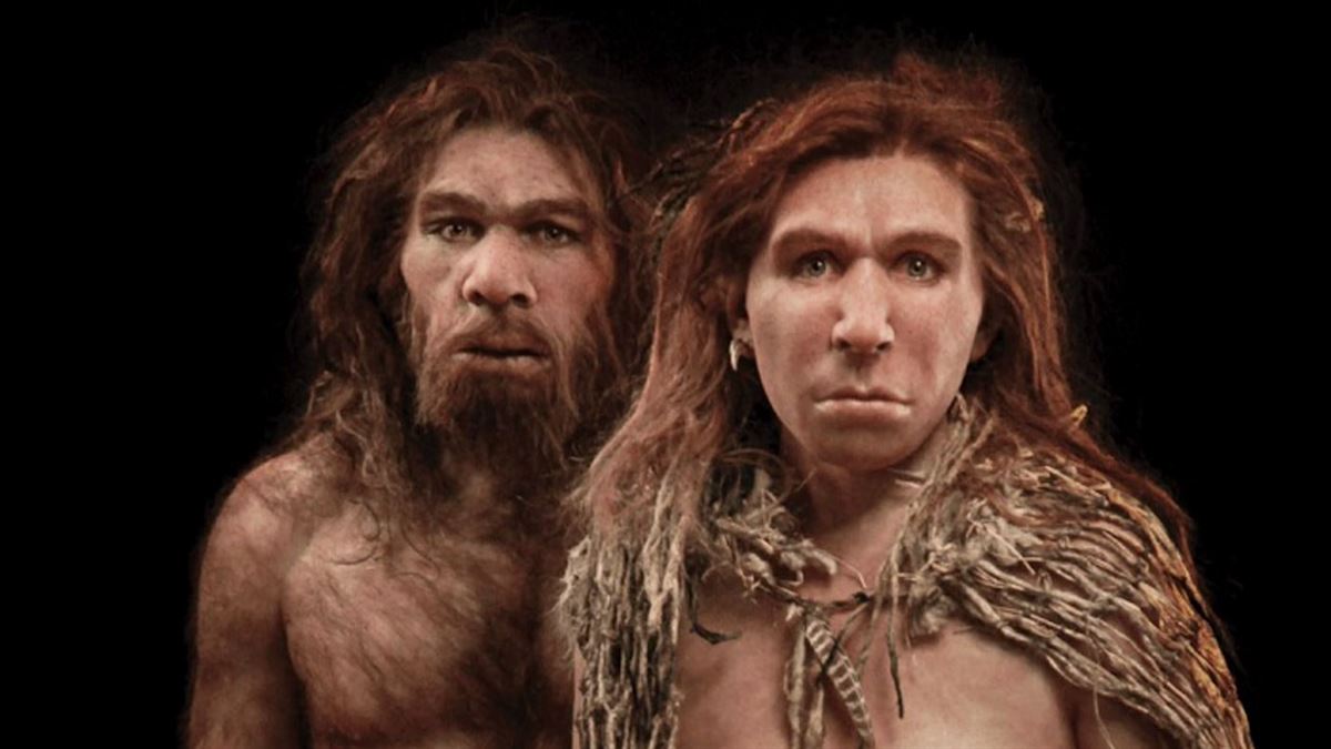 Así se vería la cara de una Neandertal