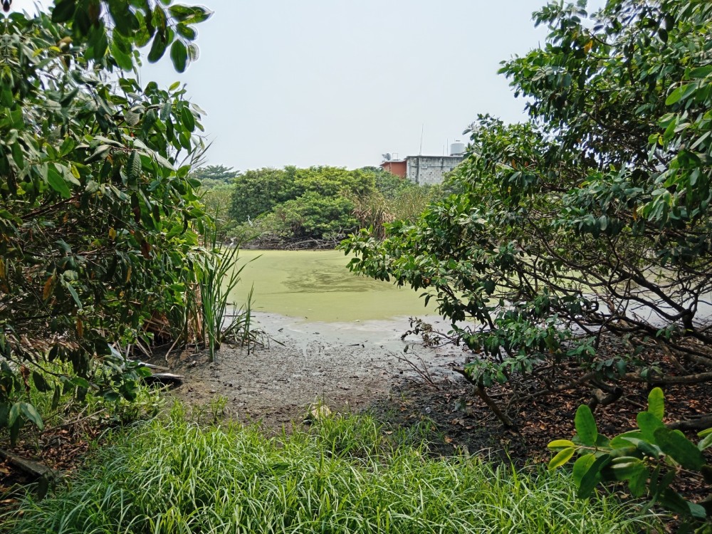 Crítica situación de la Laguna de Guadalupe