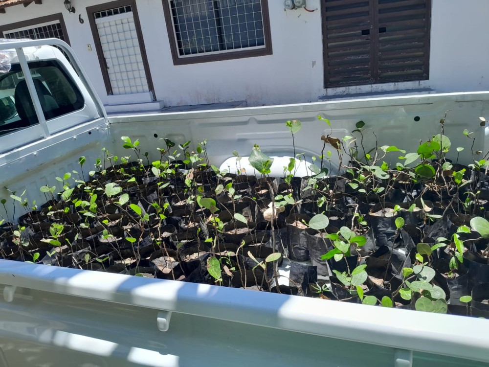 El ANFFLT carece de programas para proteger el medio ambiente