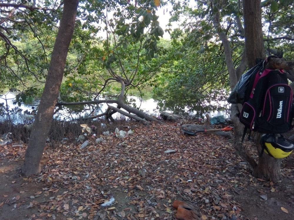 Propefa y Semarnat ciegos y sordos antes denuncias