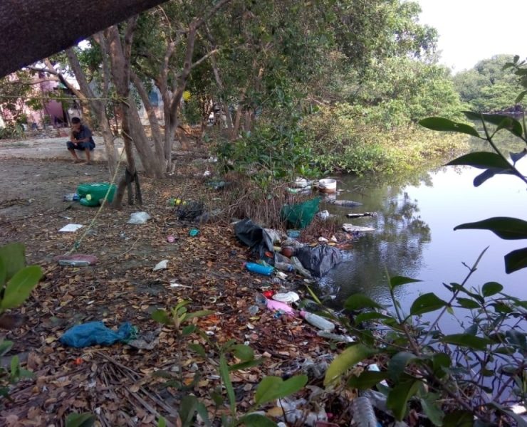 Propefa y Semarnat ciegos y sordos ante denuncias