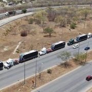 Llegaron 6 nuevos autobuses del Ie-Tram desde España