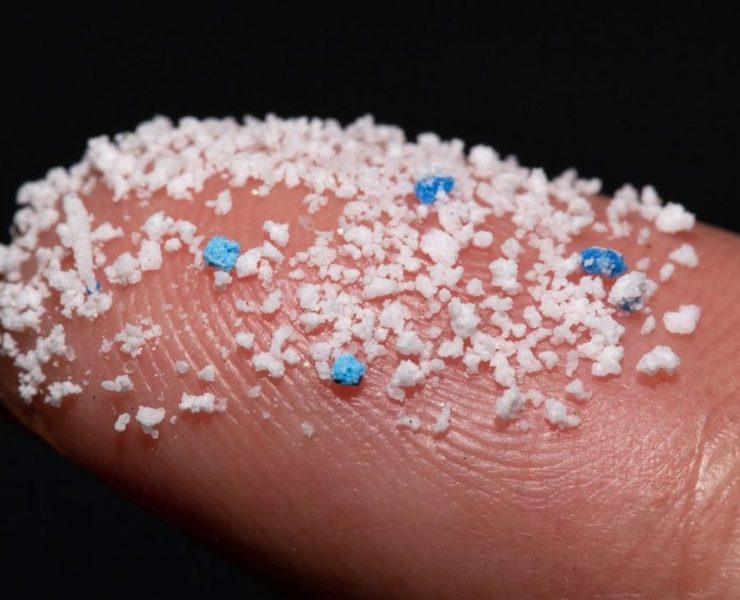 Encuentran microplásticos en testículos