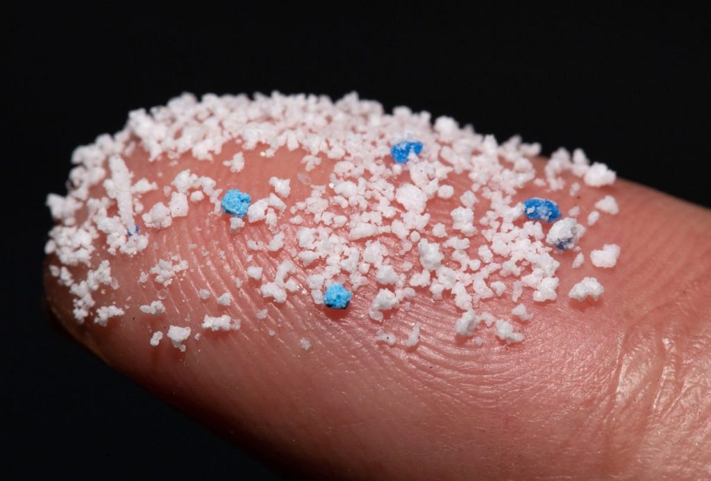 Encuentran microplásticos en testículos
