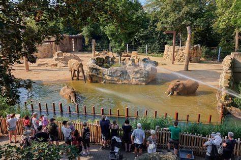 Costa Rica sin zoológicos