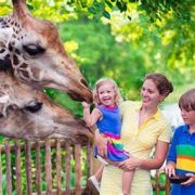 Costa Rica sin zoológicos