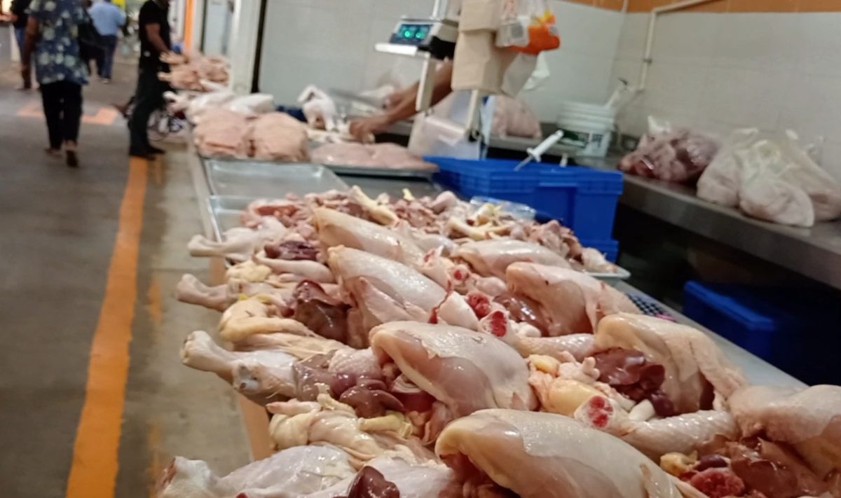 Comerciantes de pollos cifran expectativas para el 10 de mayo