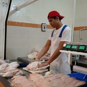 Comerciantes de pollos cifran expectativas para el 10 de mayo