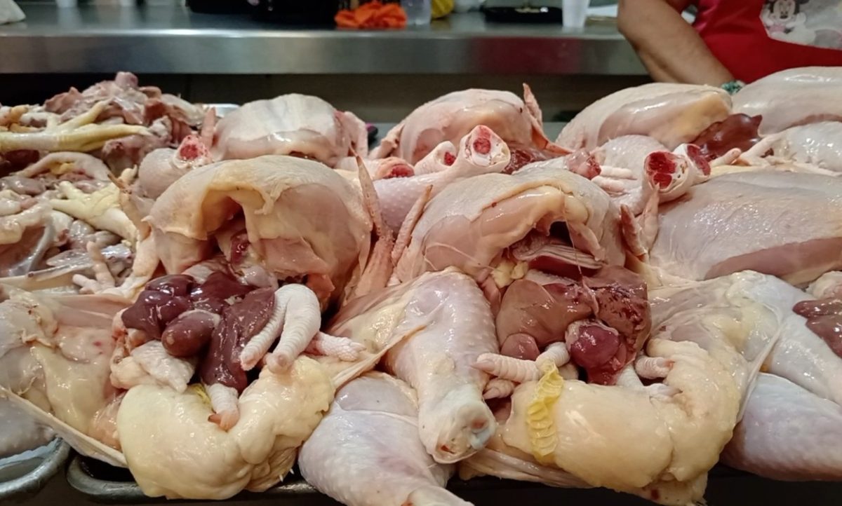 Comerciantes de pollos cifran expectativas para el 10 de mayo