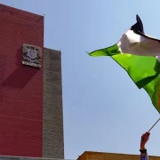 Campamento en Solidaridad con Palestina: