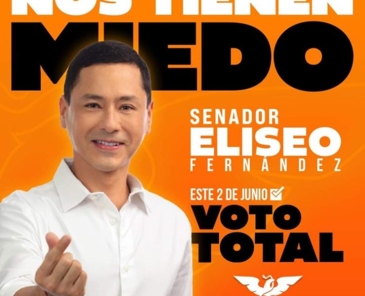 Elíseo Fernández es bajado nuevamente