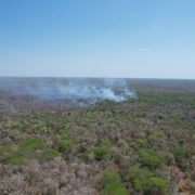 Ya van 12 incendios