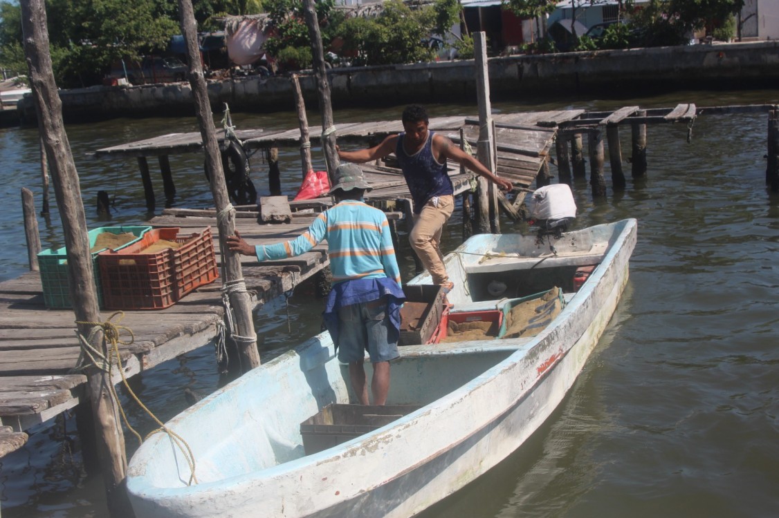 Pescadores libres depredan camarón en la Laguna de Términos