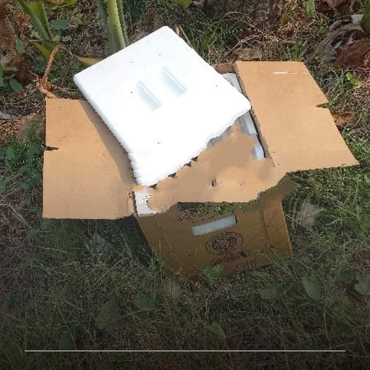 Hallan cabeza humana dentro de una nevera en Anacleto Canabal, Centro