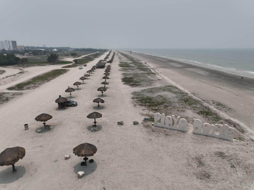 Zofemat contribuye a la depredación de las tortugas marinas