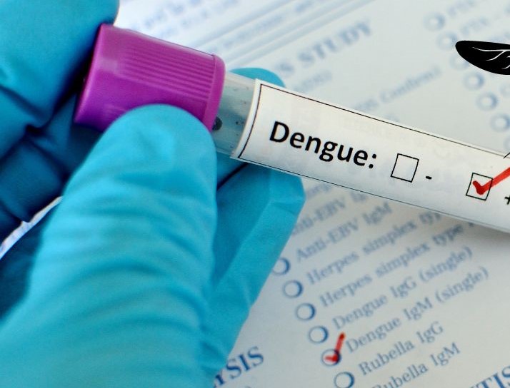 Aumenta casos de dengue en el municipio de Carmen
