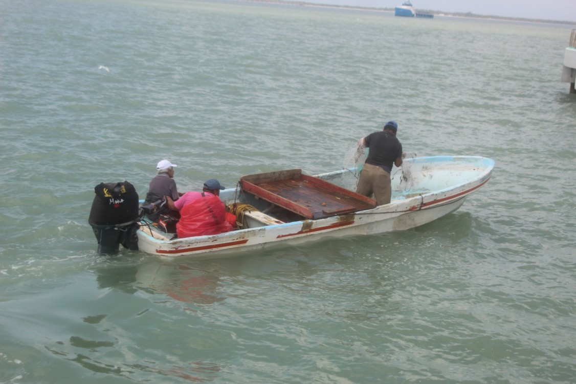 Pescadores libres depredan camarón en la Laguna de Términos