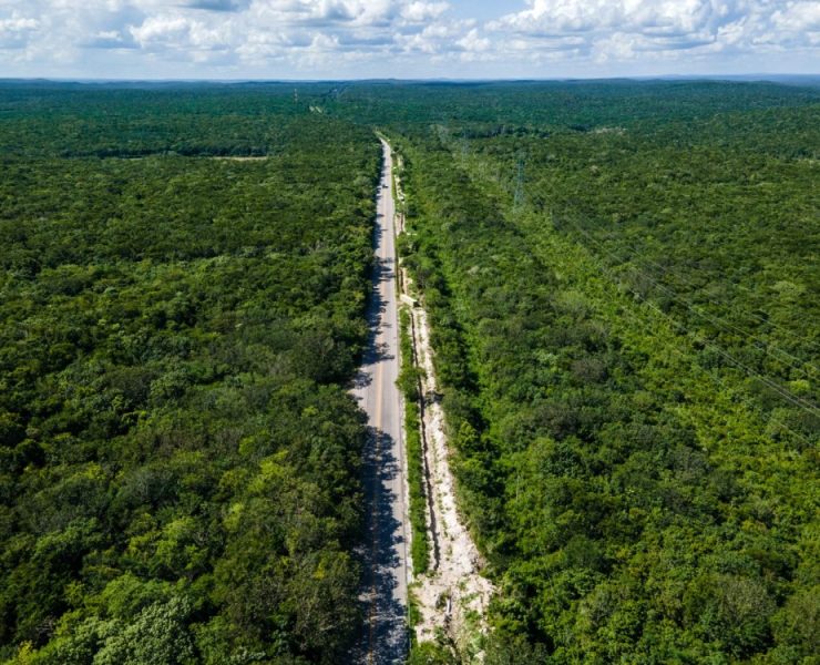 ¿Agua para Calakmul