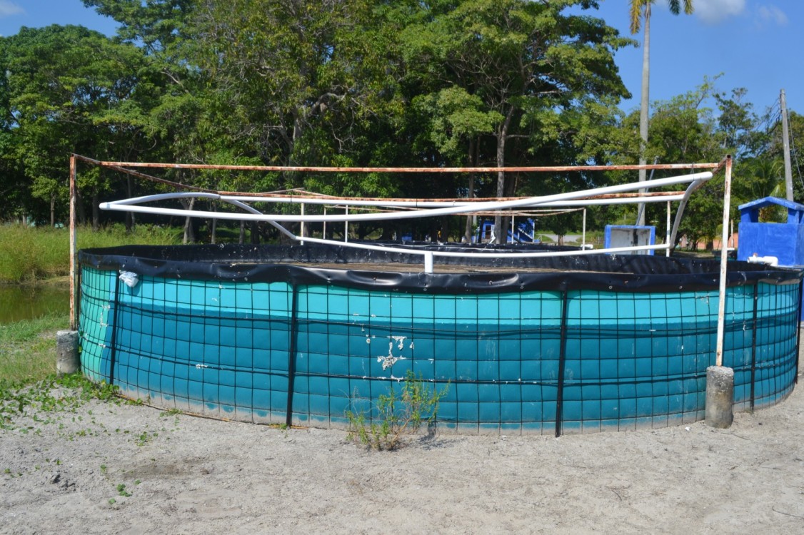Pescadores de altura no han recibido apoyos de Inpesca