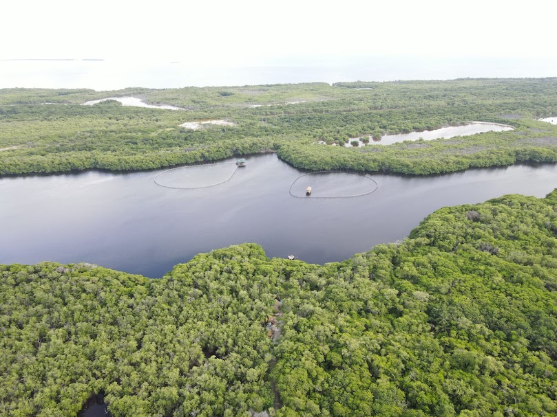 Se ha descuidado al medio ambiente