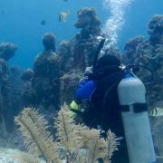 Estudio en CICY sobre arrecifes artificiales en el Caribe mexicano