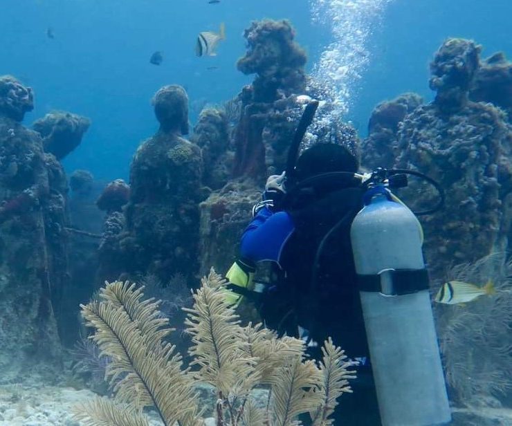 Estudio en CICY sobre arrecifes artificiales en el Caribe mexicano