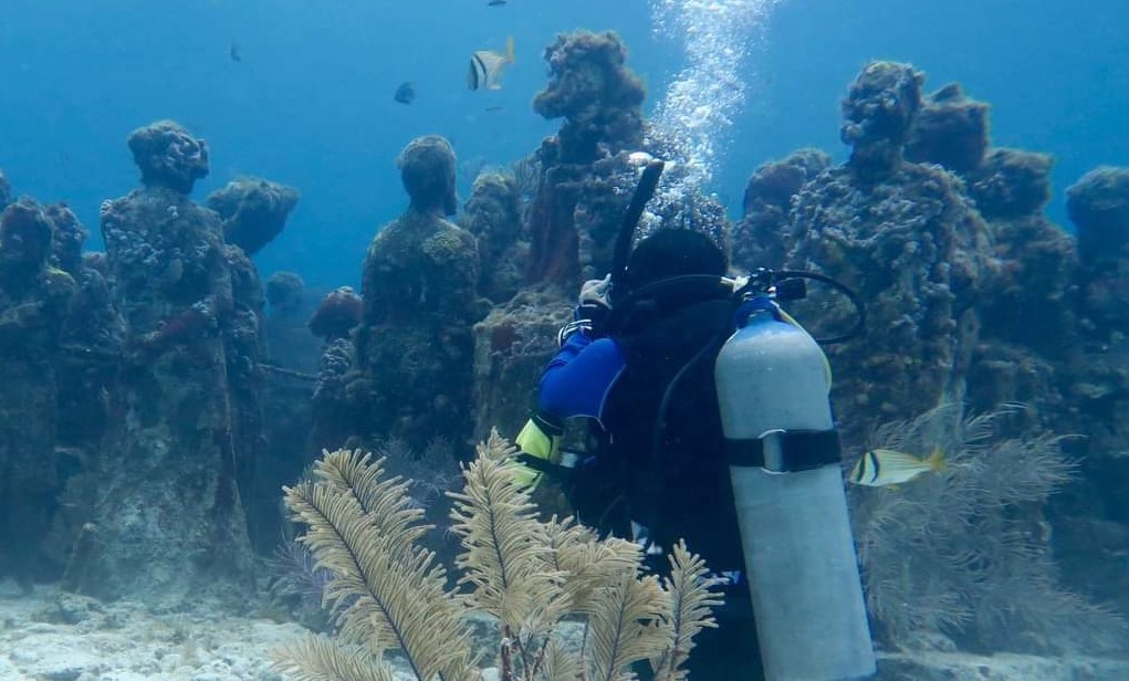 Estudio en CICY sobre arrecifes artificiales en el Caribe mexicano