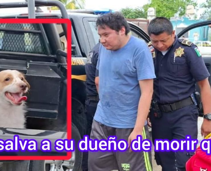 Lomito salva a su dueño de morir quemado en Ciudad Caucel