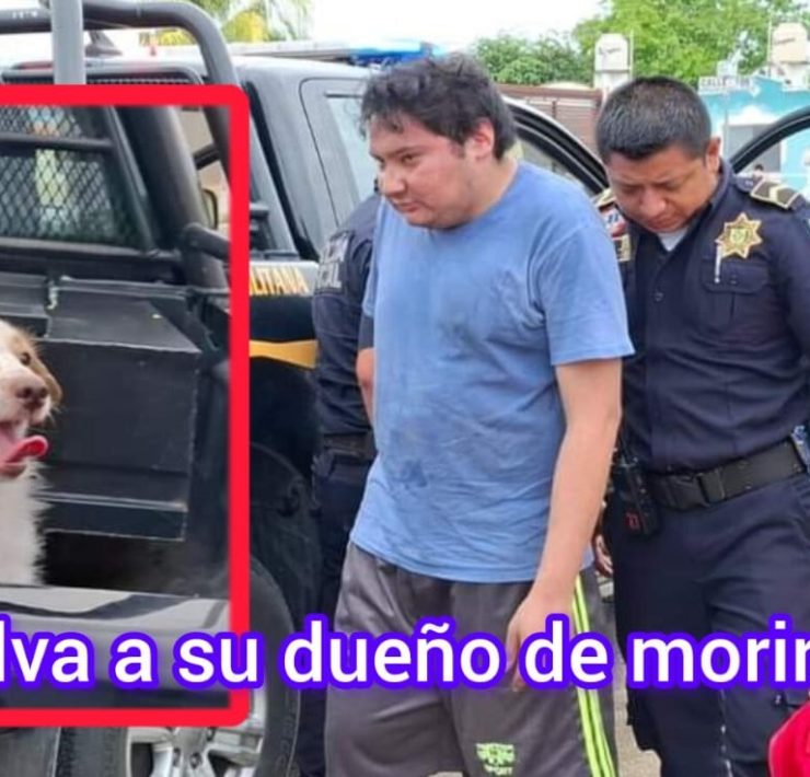 Lomito salva a su dueño de morir quemado en Ciudad Caucel