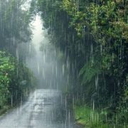 Oración “¡Jamás serás el abandonado del señor!”