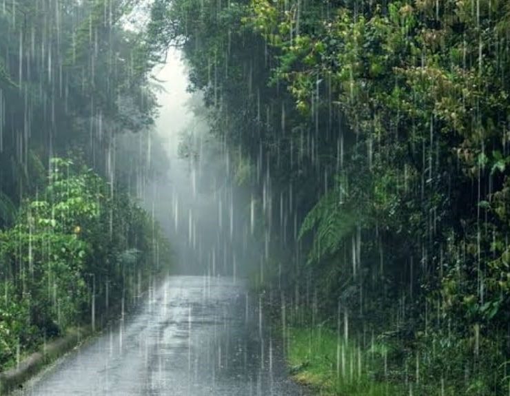 Oración “¡Jamás serás el abandonado del señor!”