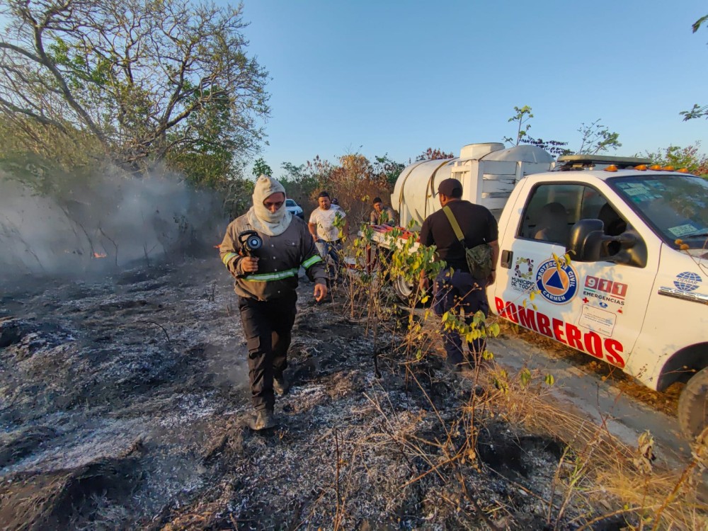 Quemas fuera de control han afectado 7 hectáreas forestales
