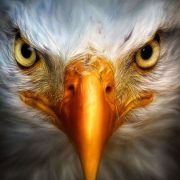 Recuperamos la esencia de nuestro verdadero ser y la razón poderosa de nuestra existencia