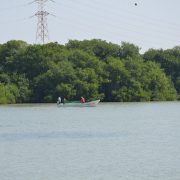 Se ha descuidado al medio ambiente