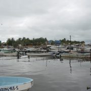 Sector pesquero deja de generar hasta 3 mdp diarios con el mal tiempo