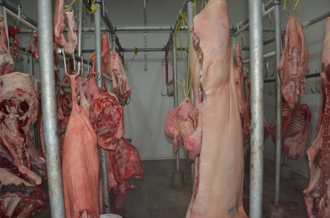 Modernizarán rastro municipal de Ciudad del Carmen