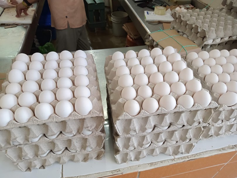 Profeco debe regular el precio del huevo