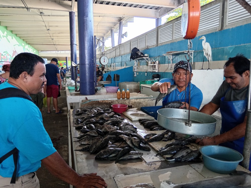 Poca producción pesquera por condiciones de tiempo