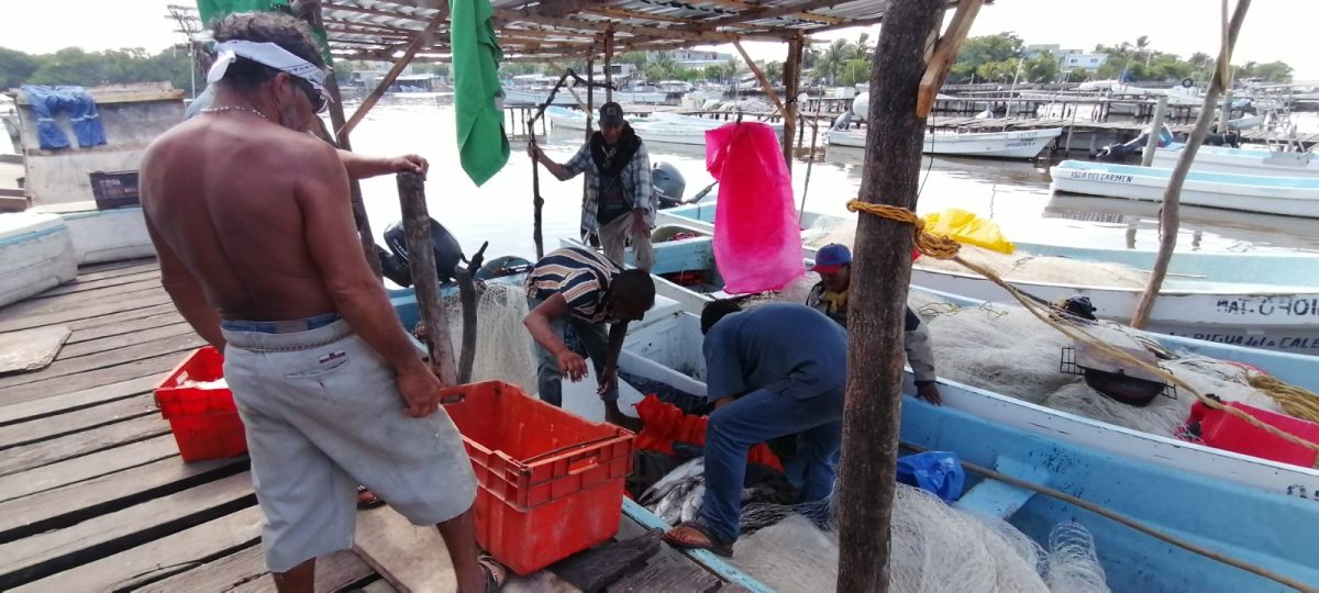 Pescadores libres no respetan la veda de camarón
