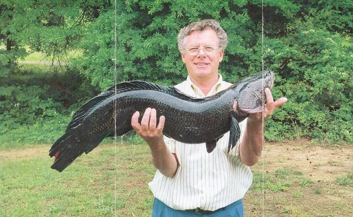 Algunos animales exóticos en Tabasco