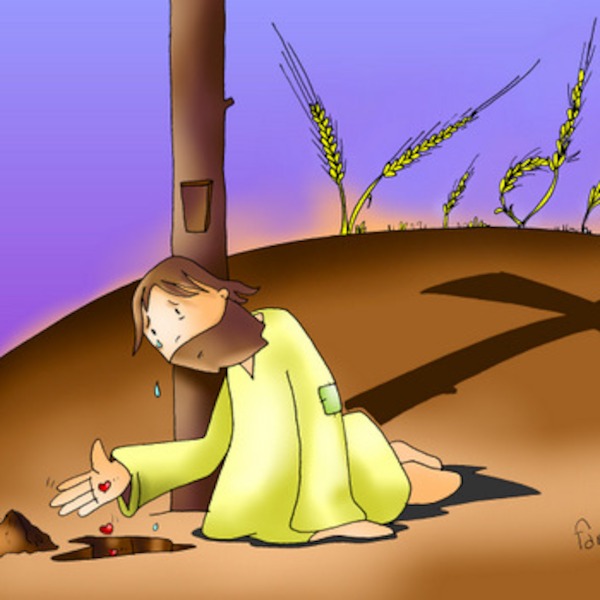 La otra parábola del evangelio de hoy es la de la “Semilla de mostaza”