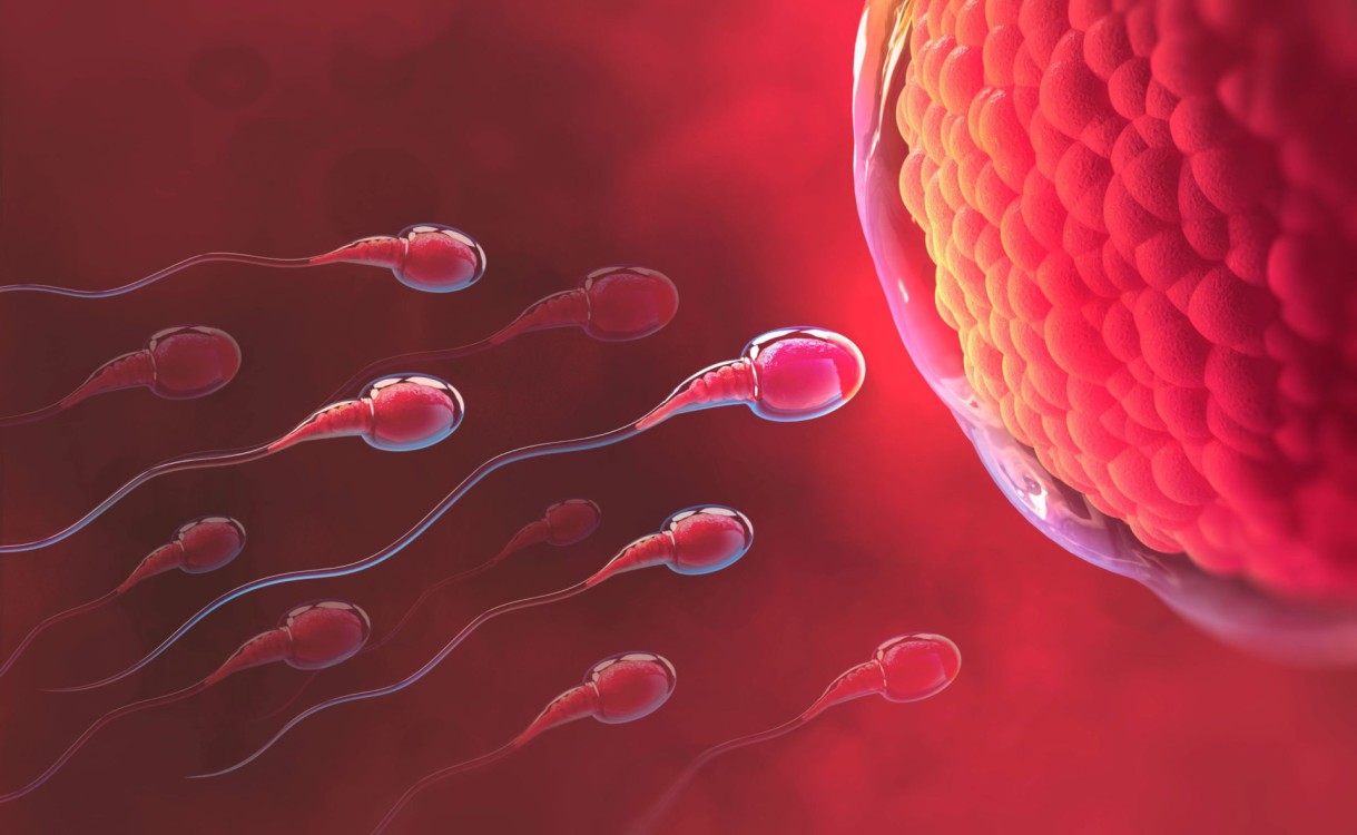 ¿Fuimos el espermatozoide más rápido?
