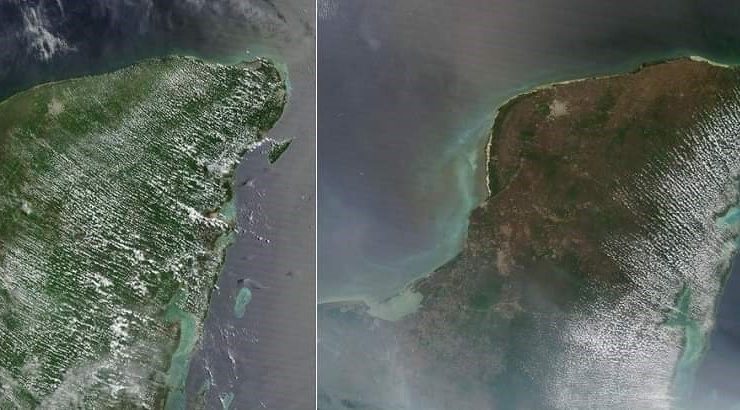 Reverdece la Península de Yucatán tras las intensas lluvias