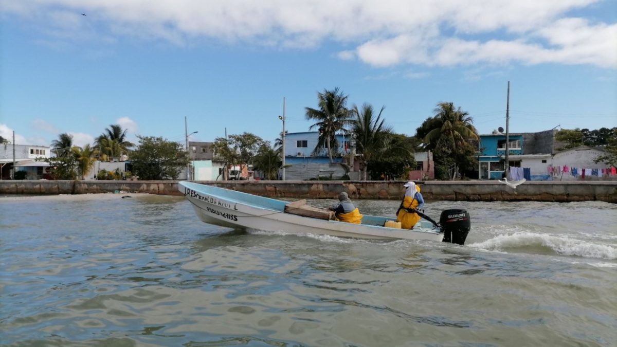 Más afectaciones al sector pesquero ribereño