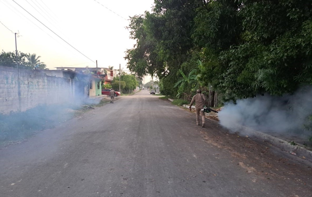 Piden fumigación en Atasta por plaga de mosquitos