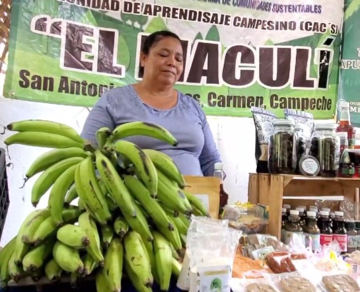 Resultados positivos del programa Sembrando Vida