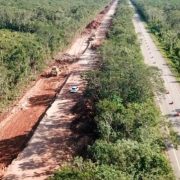 Más de 34 mil hectáreas deforestadas en la entidad en los últimos 6 años