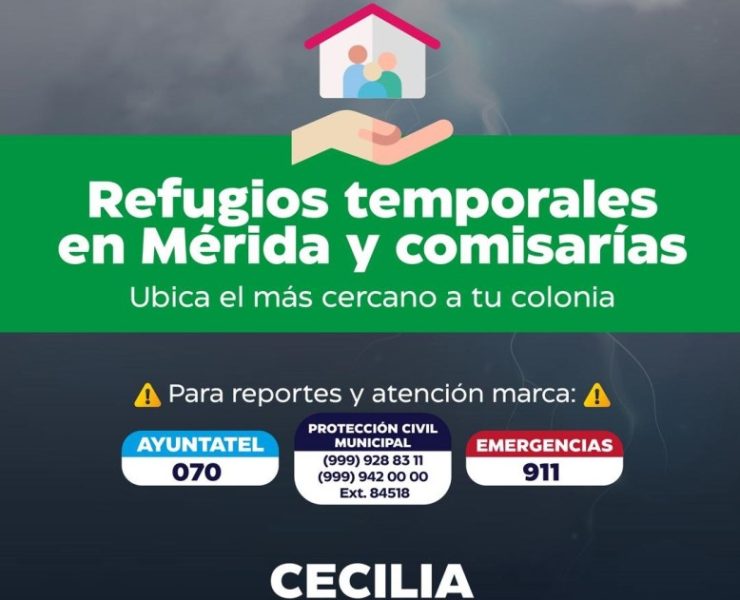 Cecilia Patrón: Meridanos y autoridades nos cuidamos mutuamente de Beryl