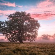 ORACIÓN: Para entrar al reino de los cielos, ¡Hay que tener la Fe de un niño!