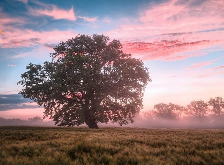 ORACIÓN: Para entrar al reino de los cielos, ¡Hay que tener la Fe de un niño!